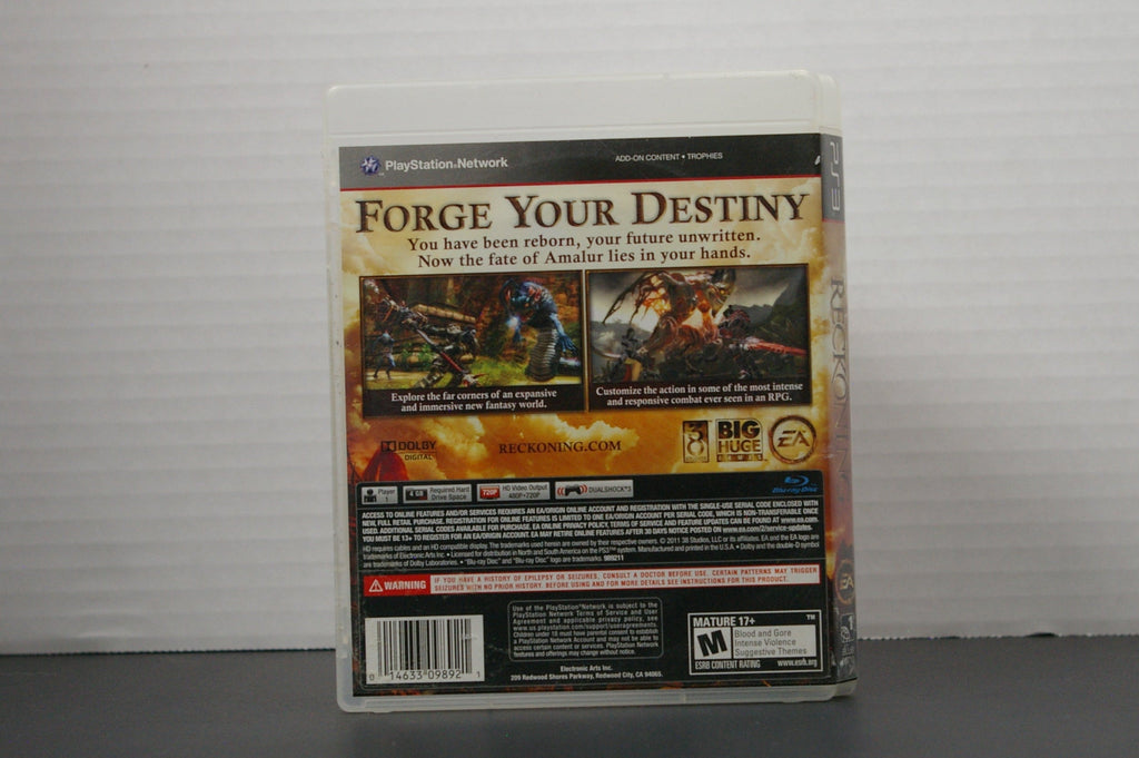 PS3 Kingdoms of Amalur: Reckoning